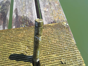 地森合志DS380 溶解氧傳感器在中東水產(chǎn)養(yǎng)殖中的應(yīng)用